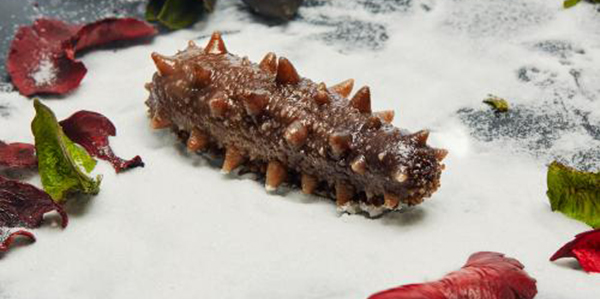 怎樣快速的區(qū)分淡干海參、鹽干海參和凍干海參？